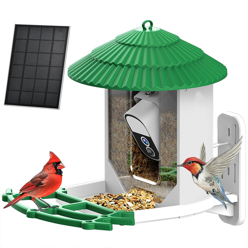 Bird feeder camera